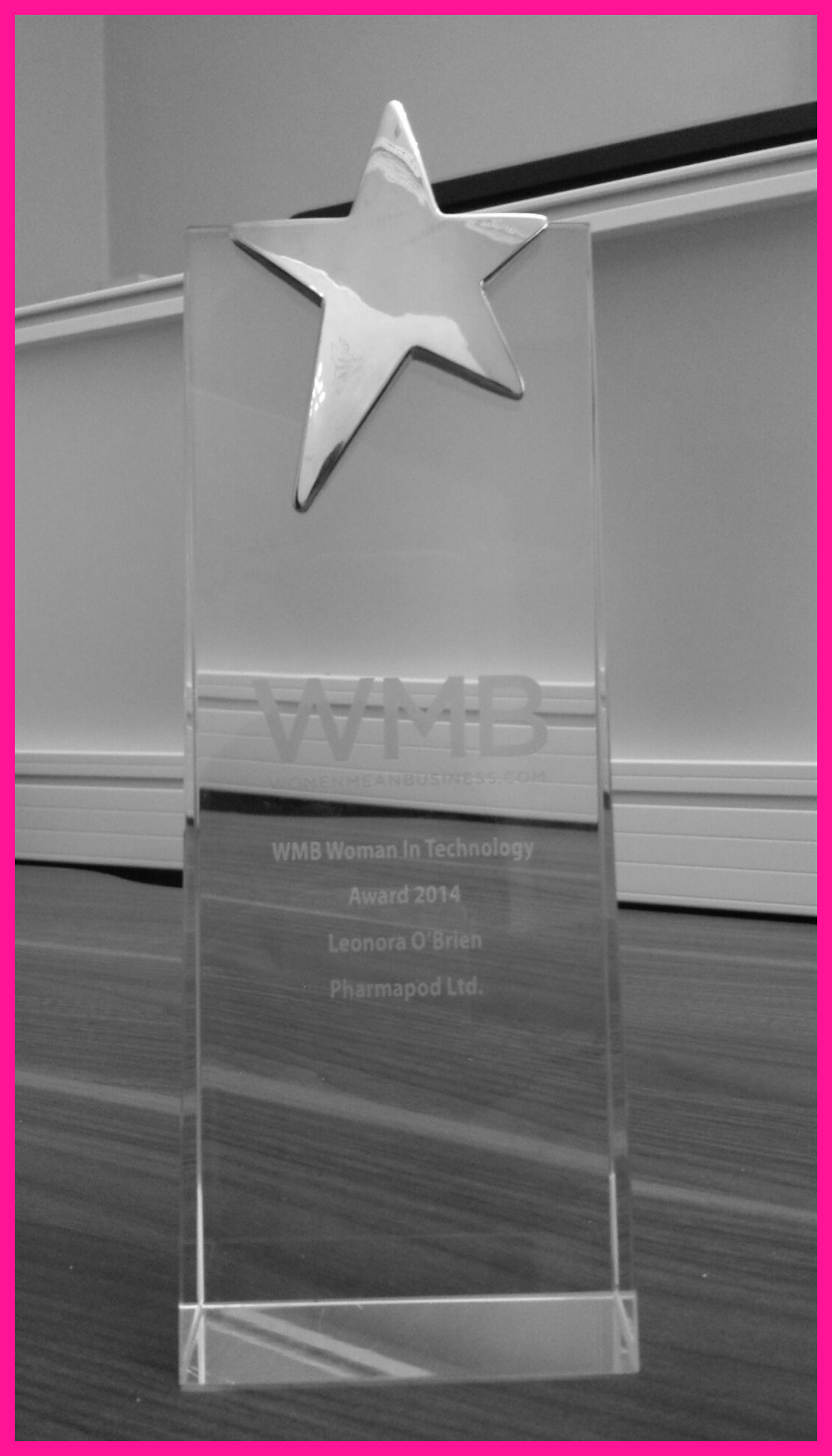 Leonora wins WMB Woman in Technology Award